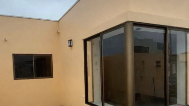 ChatGPT Image 4 feb 2026, 12_24_34 p.m.