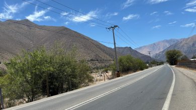 Terreno peralillo marce
