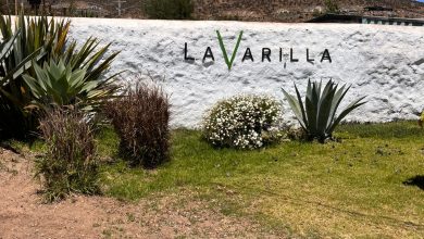 Varilla 3